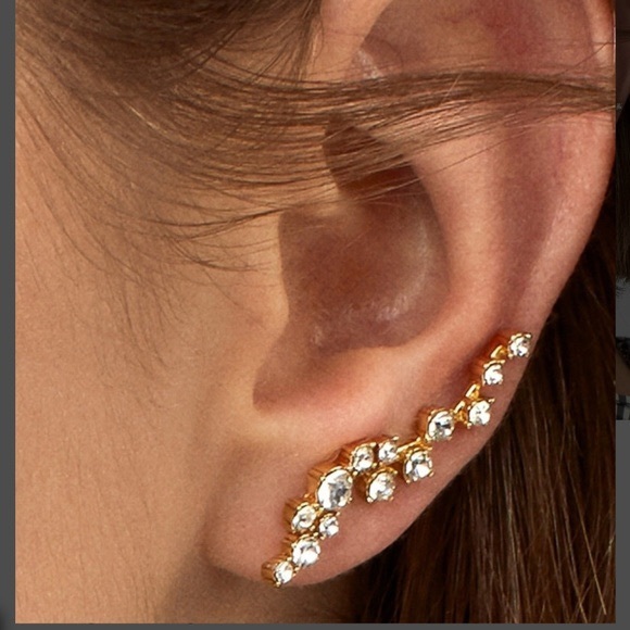 BaubleBar Jewelry - Baublebar Farah Ear Crawlers